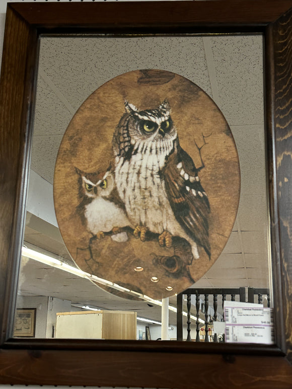 Large Owl Mirror