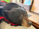 Bear Rug/Wallhanging