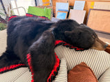 Bear Rug/Wallhanging