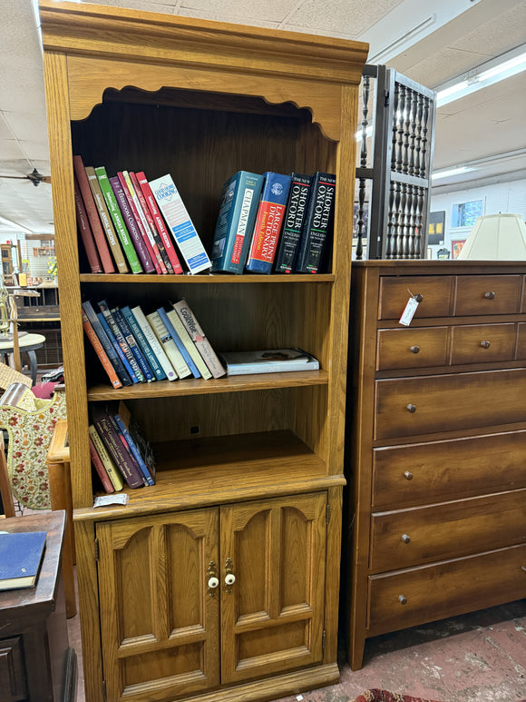 Lighted Oak Storage Cabinet with Bookcase